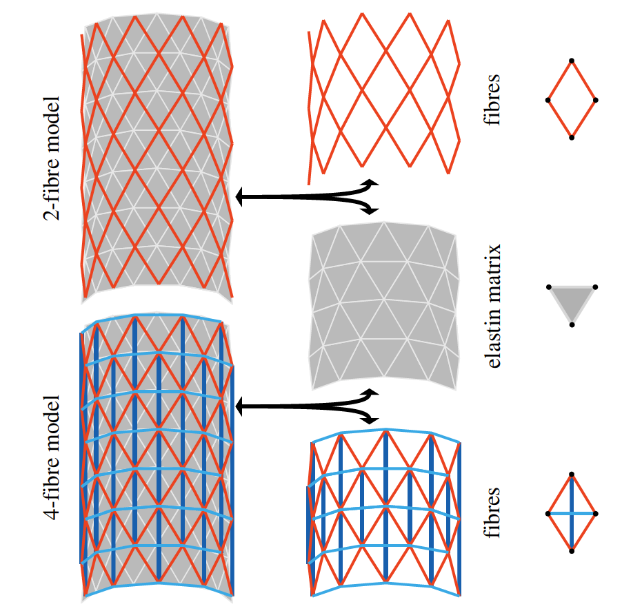 Structural schematic of both two- and four-fibre DPD models of an arterial wall containing two primary structural constituents: collagen fibres embedded in an elastin-dominated matrix. The two-fibre model (top) contains collagen fibres (red) and an elastin matrix (grey). The four-fibre model (bottom) contains additional axial (dark blue) and circumferential (light blue) fibres. DPD particles in each layer are located at the vertices of each triangle or diamond, indicated in the right column with black circles.
