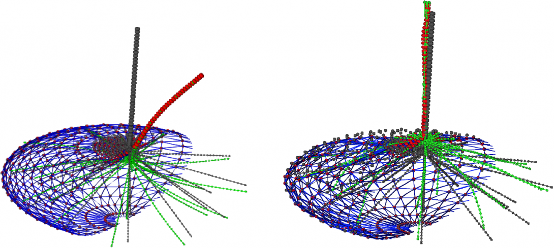 Coarse-grained simulations (only half of the cell membrane shown). Cilium shown in both untrapped/trapped configurations (left) and thermal fluctuations (right)
